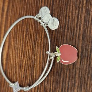 Alex and Ani Apple Bracelet